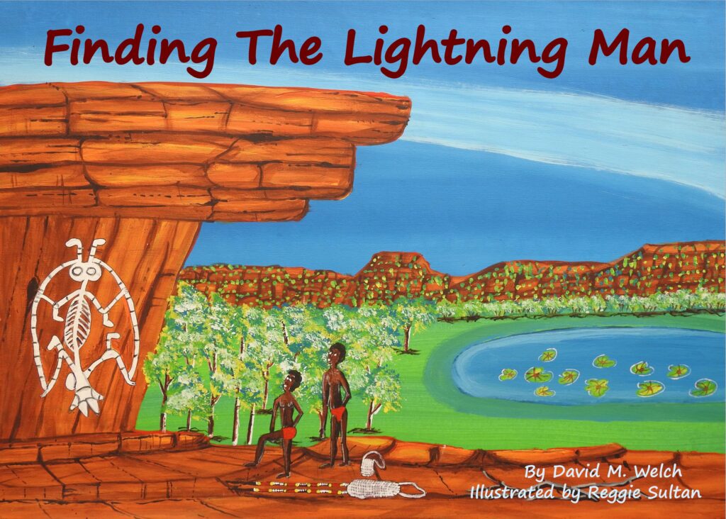 Book Cover: Finding The Lightning Man